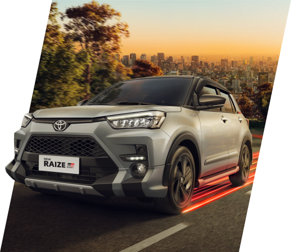 All New Raize